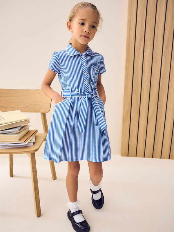 Blue Stripe Cotton Rich Belted School Dress with Scrunchie (3-14yrs)