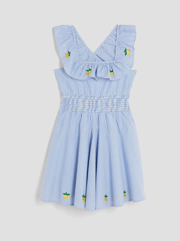 River Island Blue Girls Stripe Embroidery Lemon 100% Cotton Dress