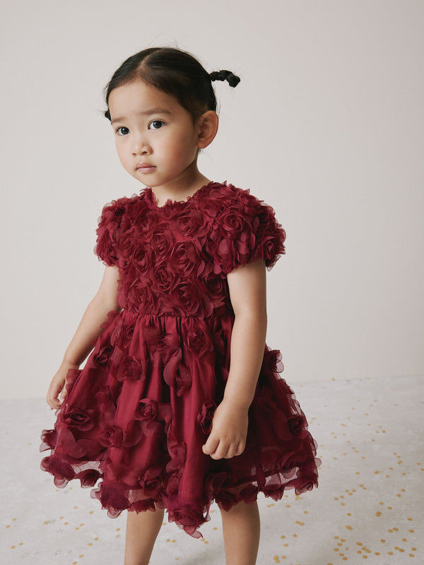 Berry Red 3D Flower Mesh Dress (3mths-8yrs)