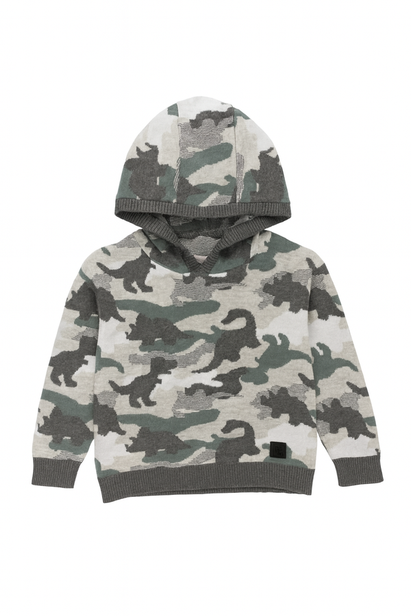 Dino Print Hoodie immediate