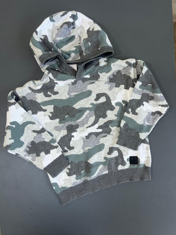 Dino Print Hoodie immediate